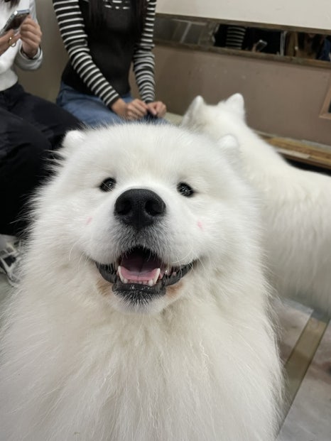 겨울이머무는집 이미지