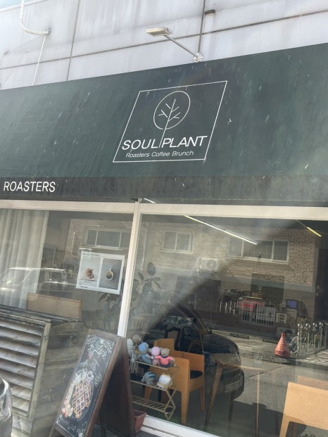 Soul Plant(소울플랜트) 이미지