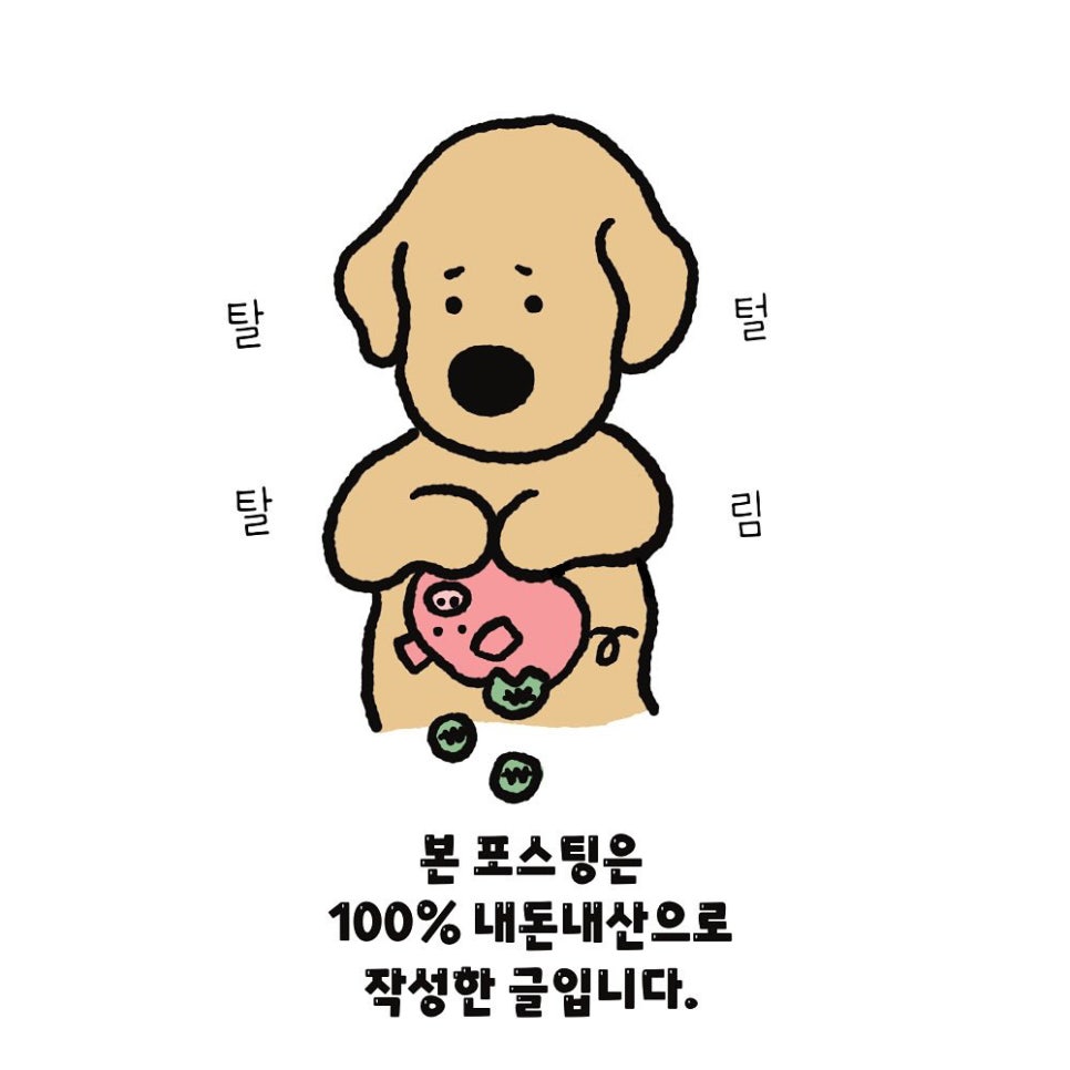 킹독 이미지