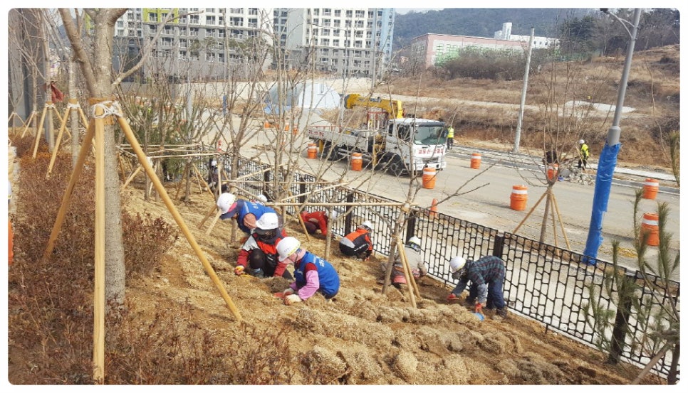 그린나무병원 이미지