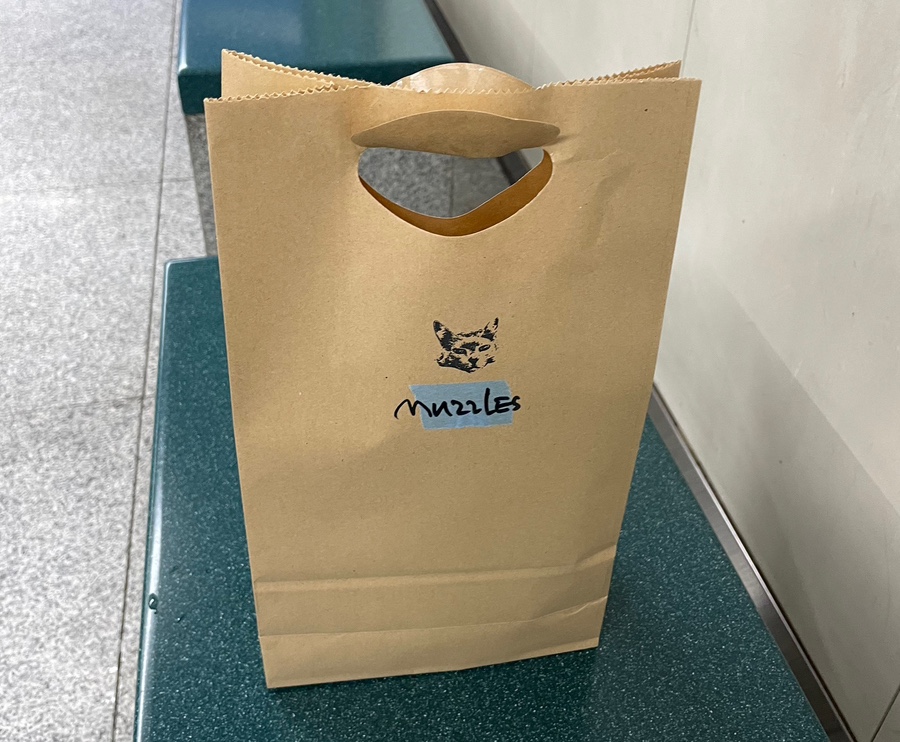 머즐스 이미지