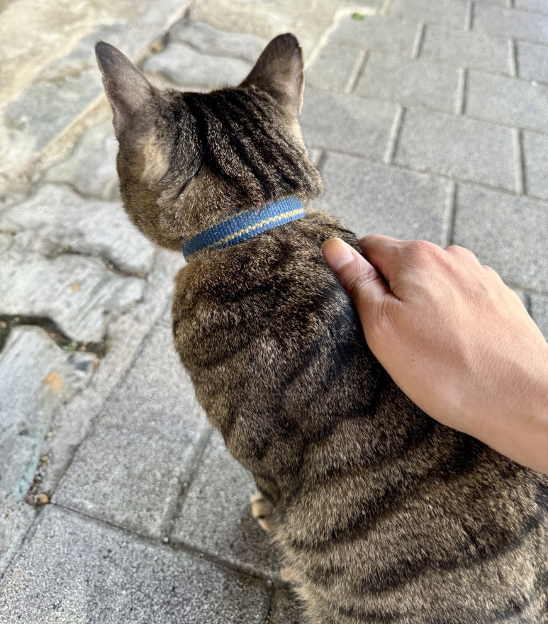 영광상회 이미지