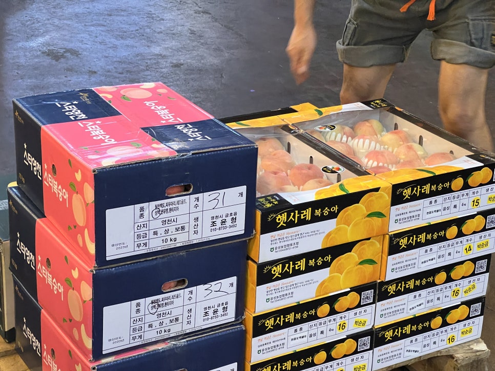 가락과일 이미지