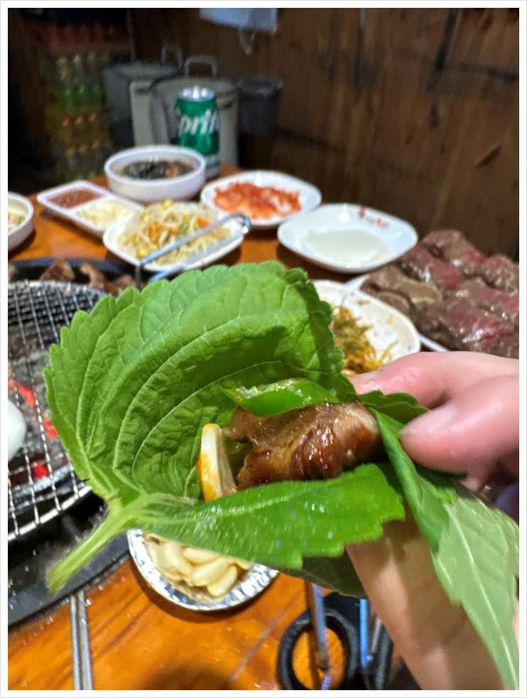 1등돼지 이미지