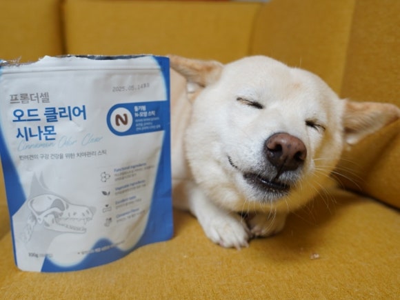 더셀주 이미지