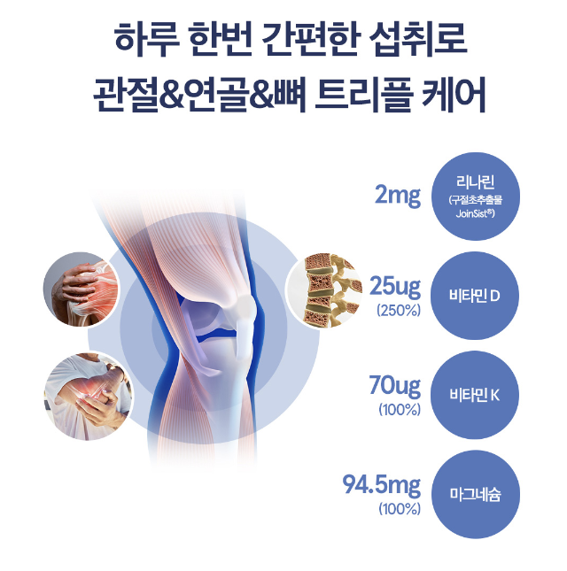 코어앤두 이미지