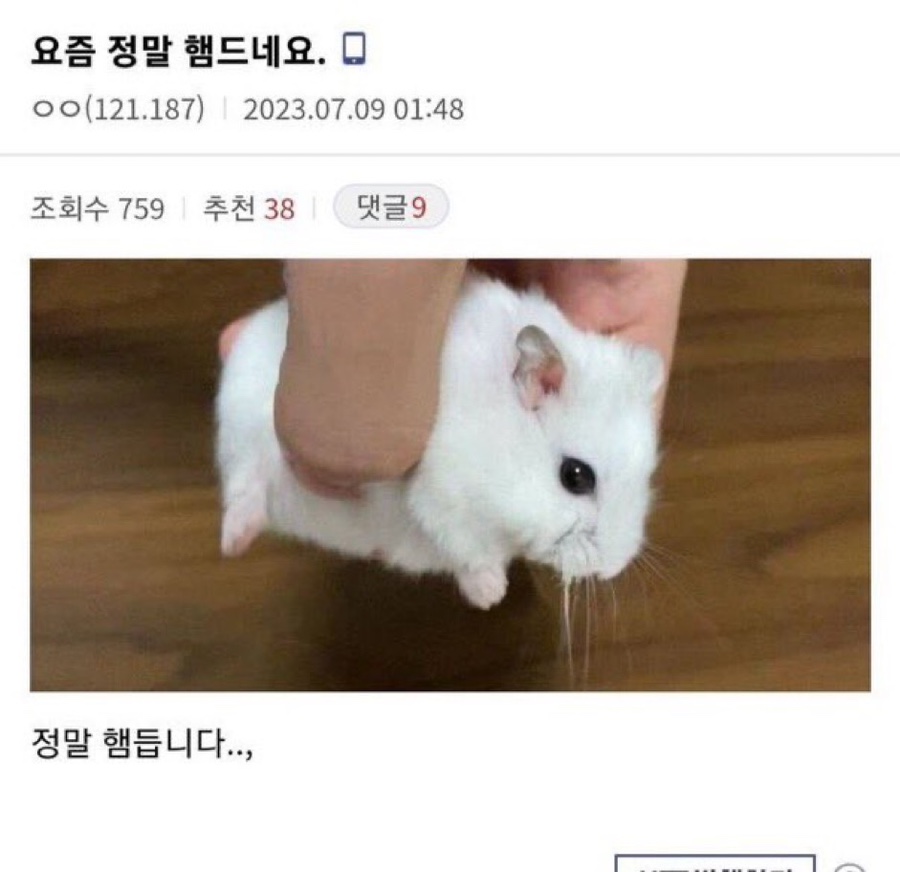 (주)요즘 이미지
