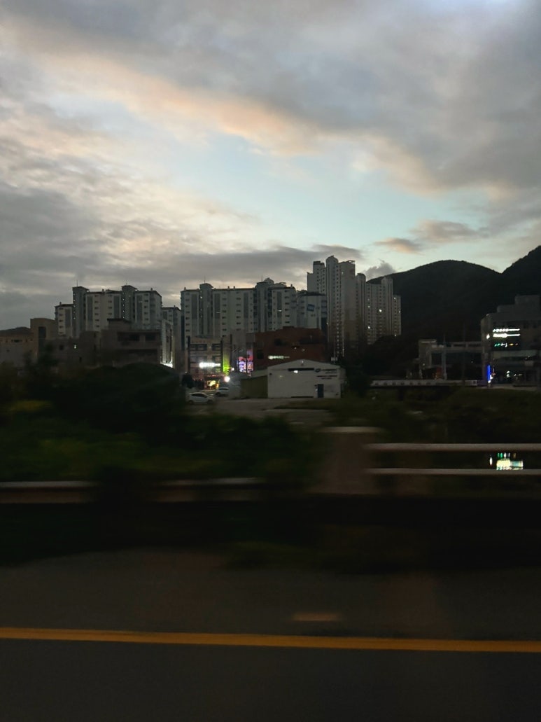 타코코 이미지