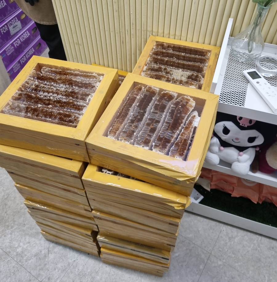 요거트 아이스크림의 정석 왕십리점 이미지