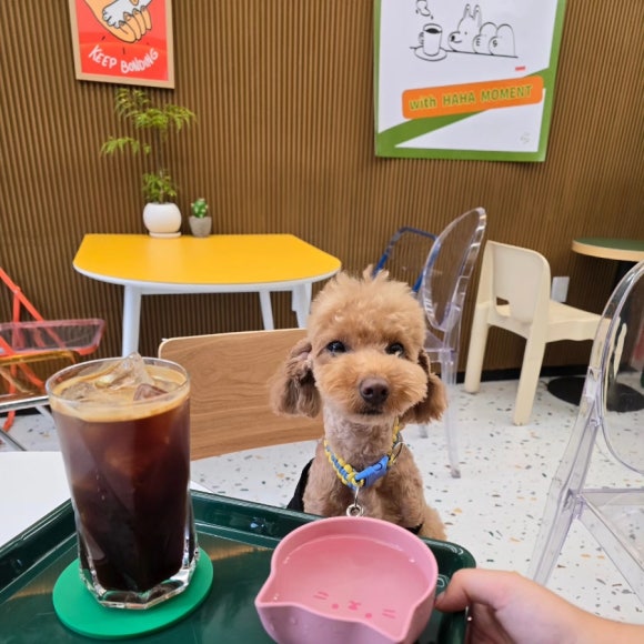 하하모먼트 이미지