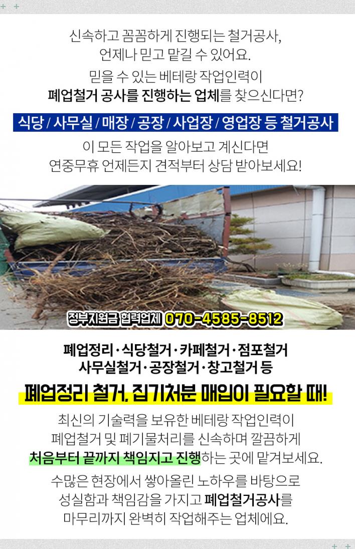 알프스음악학원 이미지