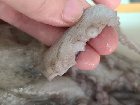 덕영수산 이미지