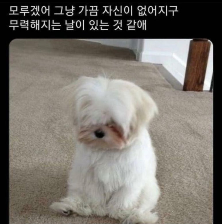 흠 이미지