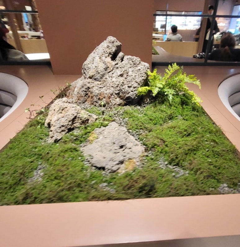 씨드그린(seed green) 이미지