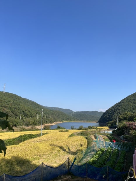 경주 캠핑573 이미지