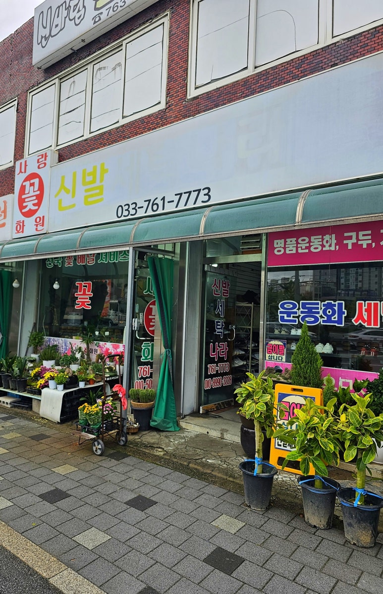 사랑꽃화원 이미지