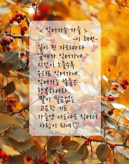 도서관가는길 이미지