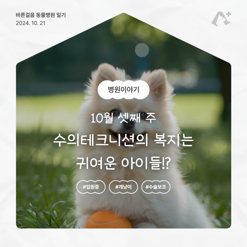 (주)바른선 이미지