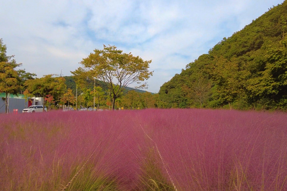 동호공원 이미지