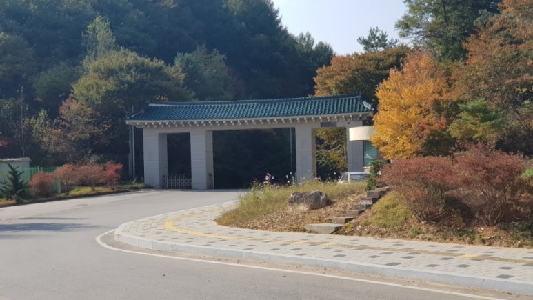 성인기획 이미지