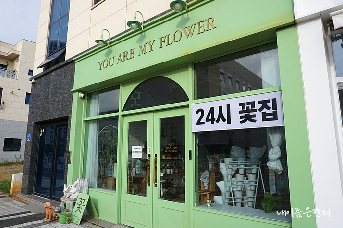 너는나의꽃 이미지