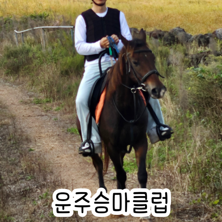 운주승마클럽 이미지
