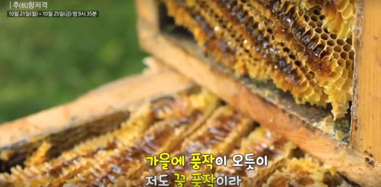 백두대간벌꿀 이미지