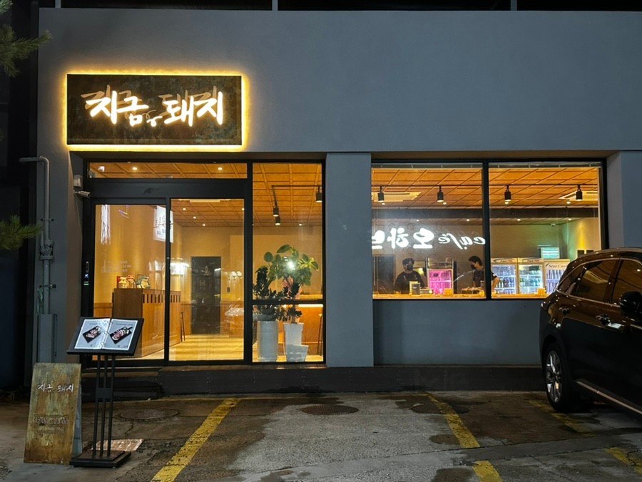 지금,돼지 이미지