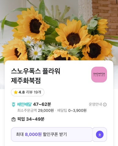 스노우폭스제주 이미지