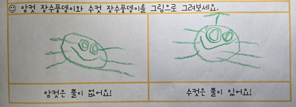 혜원유치원 이미지