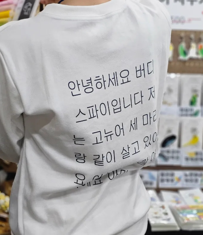 앵페스타 이미지