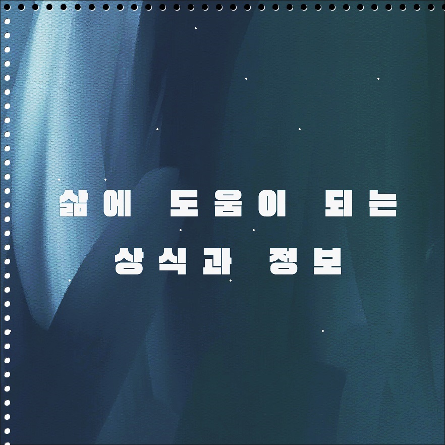 커리어랩스 이미지