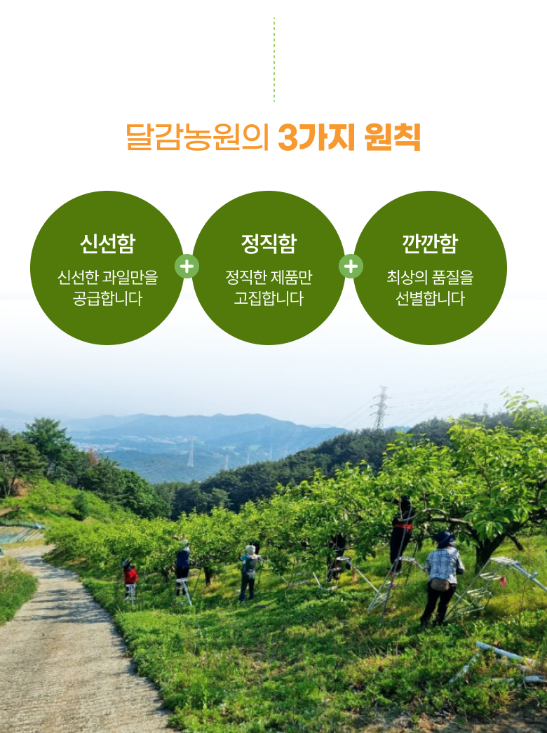 과일로 이미지