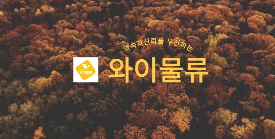 커넥트와이 이미지