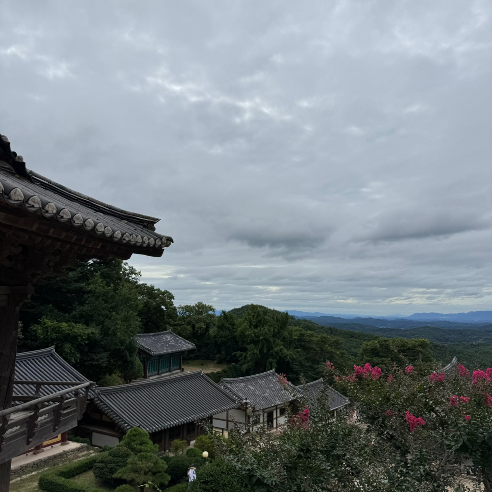 고르다치과 이미지