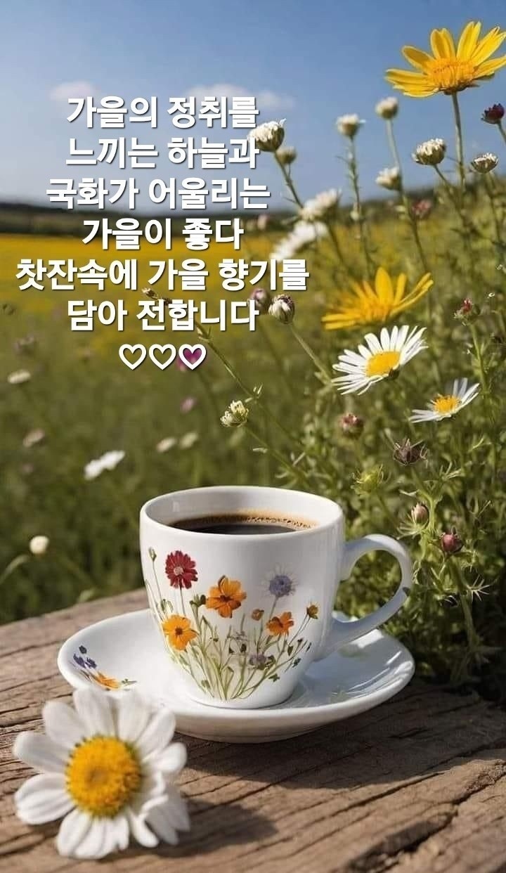 낭만포차한식점심부페 이미지