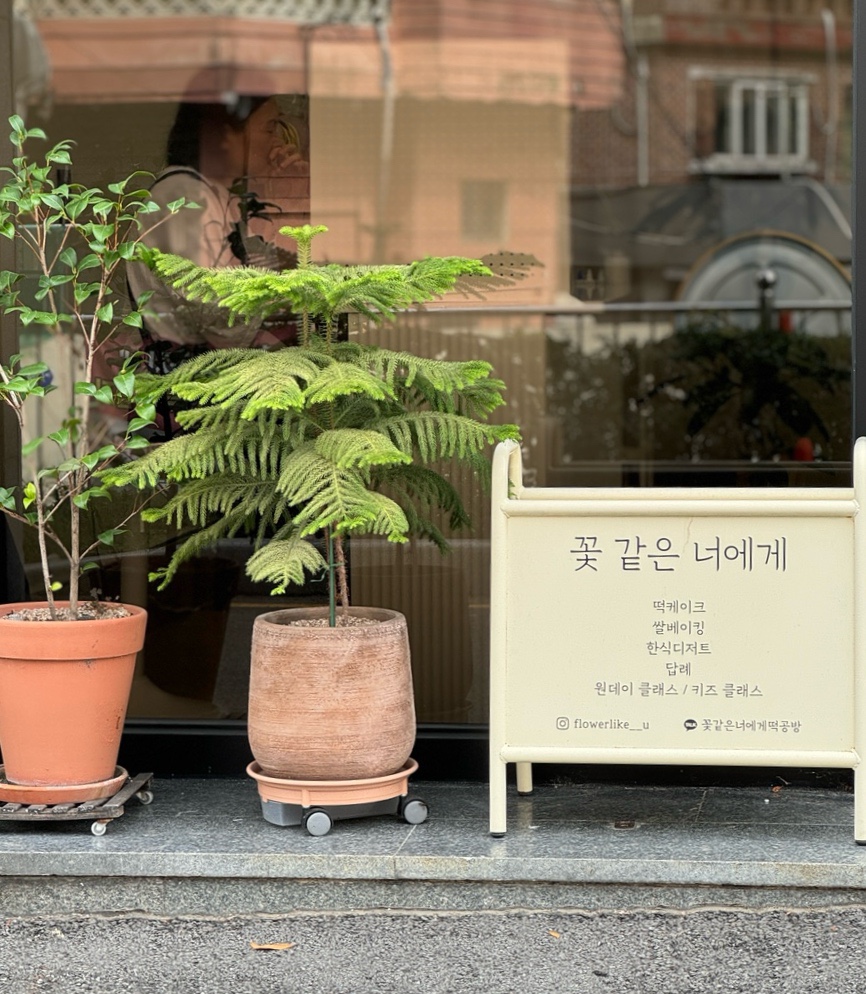 꽃같은너에게 이미지