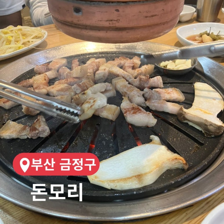 돈모리 이미지