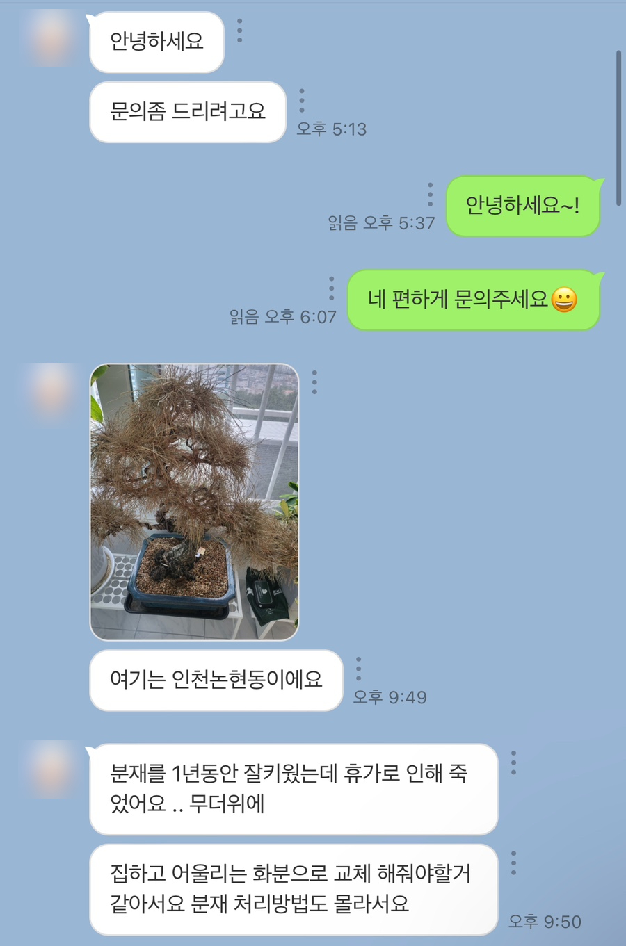 풀애 이미지