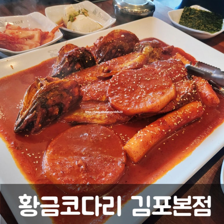 누나코다리 이미지