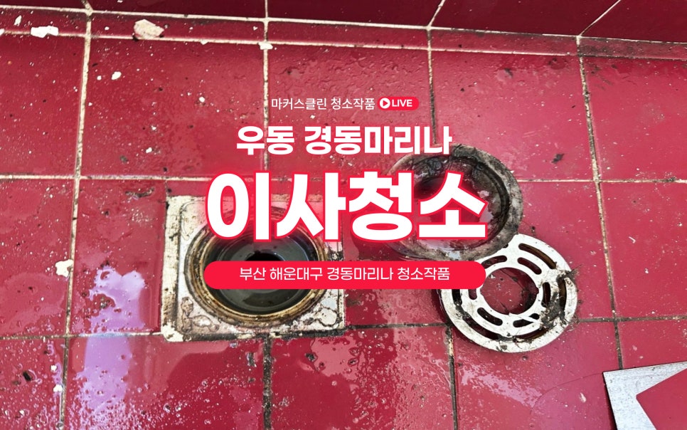 마커스클린 이미지