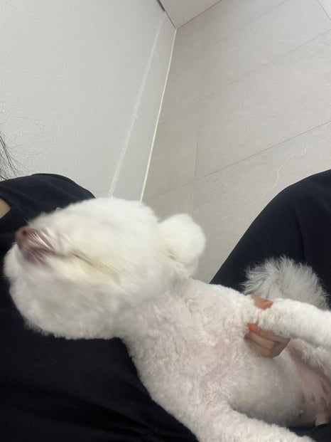 위드스테이부산 이미지