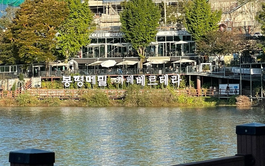 베르테라 이미지