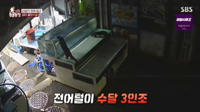 충청도서천회집 이미지