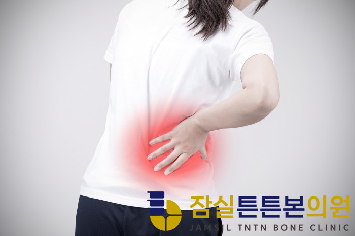 잠실튼튼본의원 이미지
