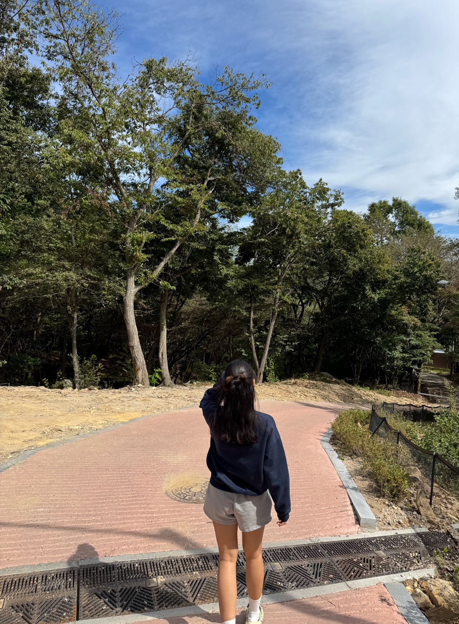 하늘숲 야영장 이미지
