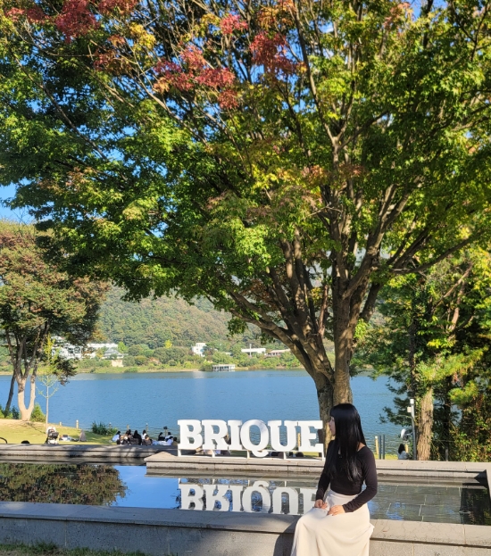 브리끄(brique) 이미지