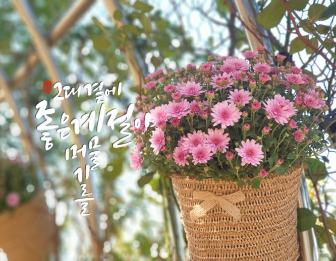 목련통합재가센터 이미지
