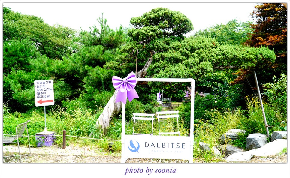 카페새로 이미지