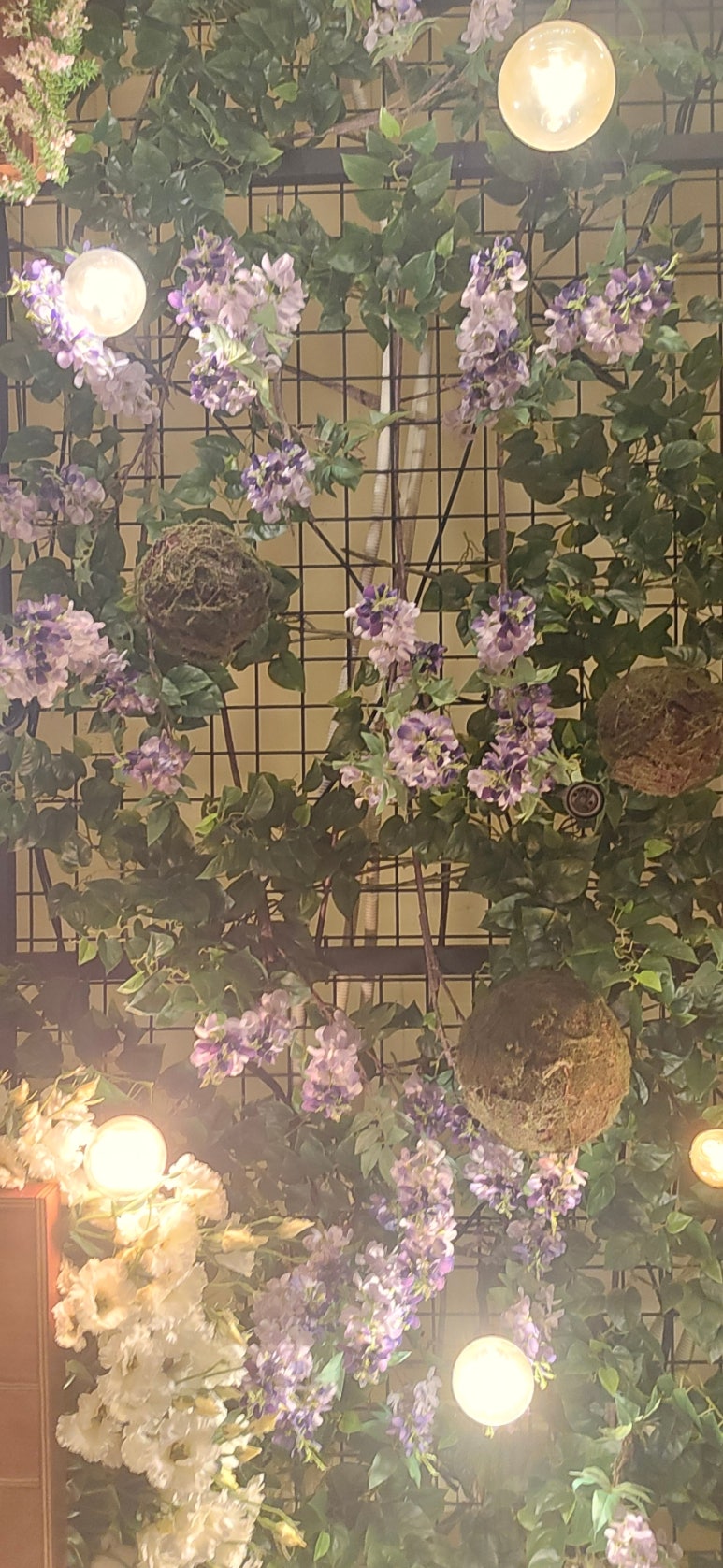 프레스코302 이미지